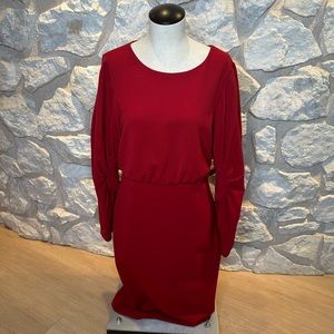 Badgley Mischka long sleeve burgundy dress